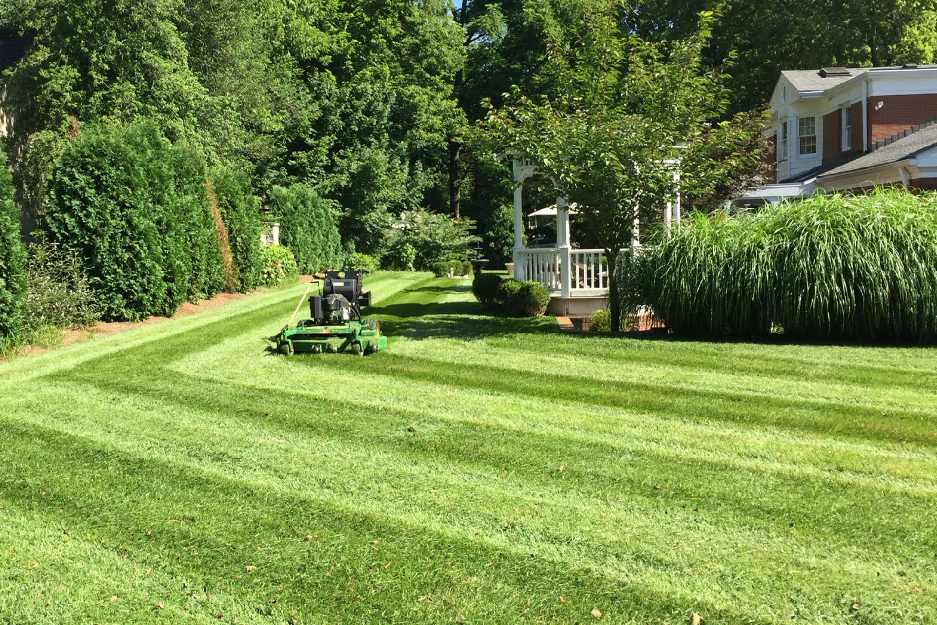 The Benefits Of Regular Lawn Maintenance